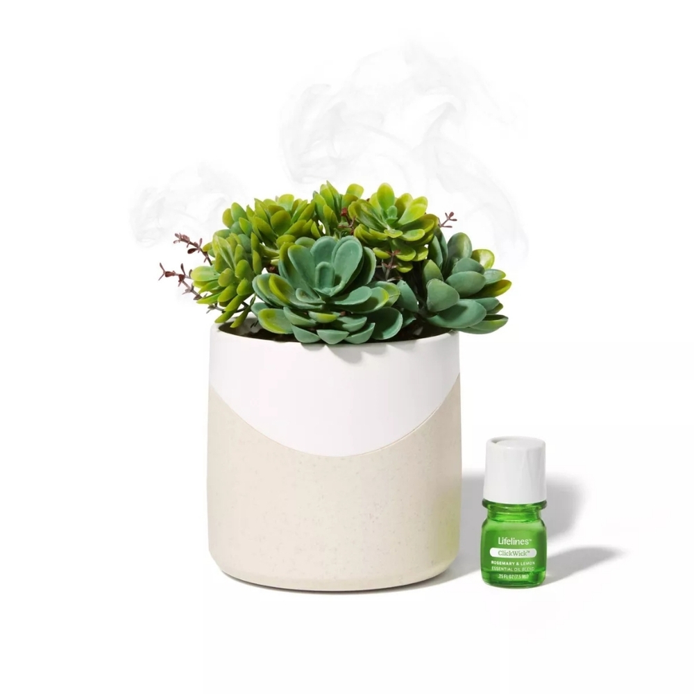 Lifelines Planter Diffuser - Succulent New